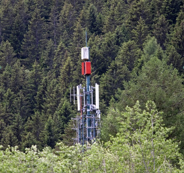 Sendemast im Wald