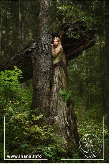 Frau, halb Baum - halb Mensch im Wald