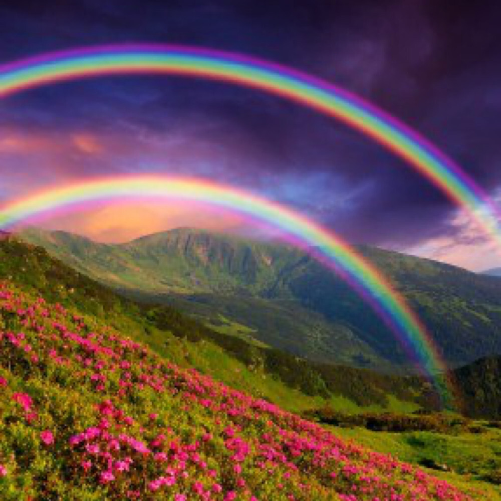 Zwei Regenbögen