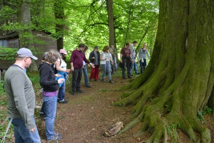 Gruppe umsteht einen mächtigen Baum