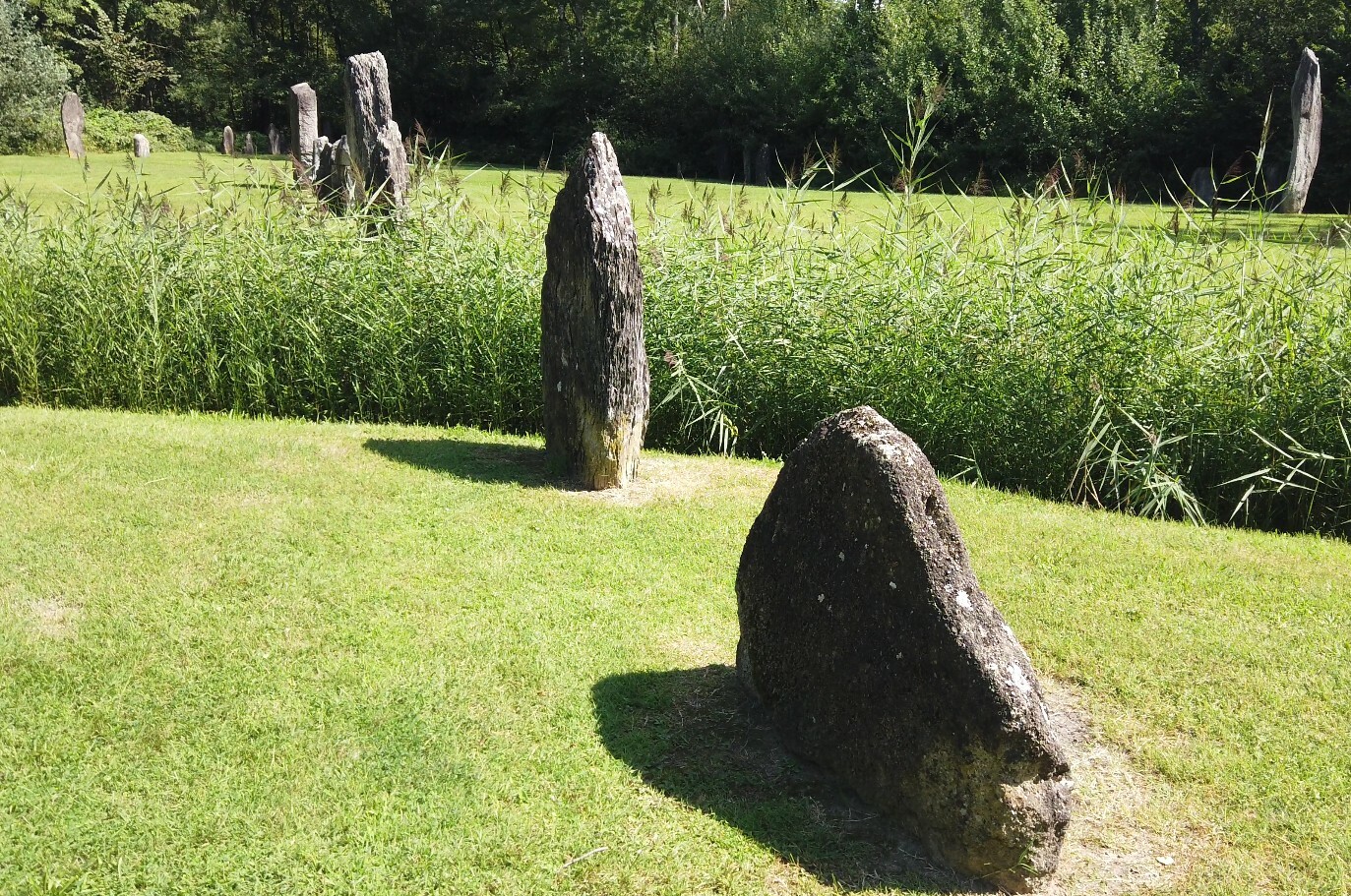 Steinreihe in Yverdon