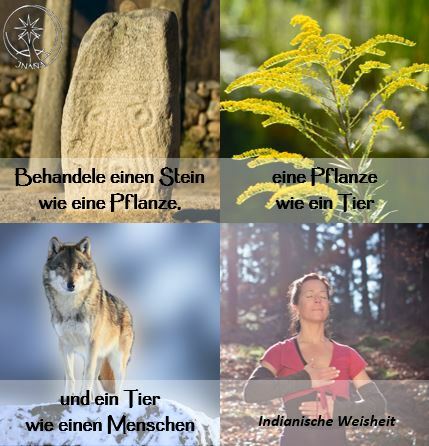 Stein, Pflanze, Wolf und Mensch
