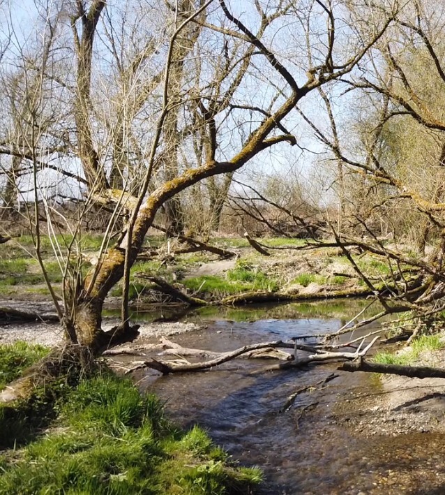 Der Fluss Isen