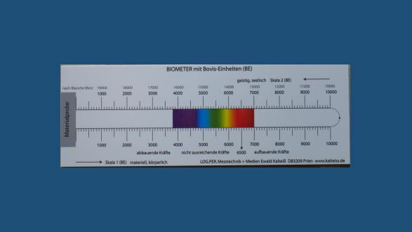 Biometer nach Bovis