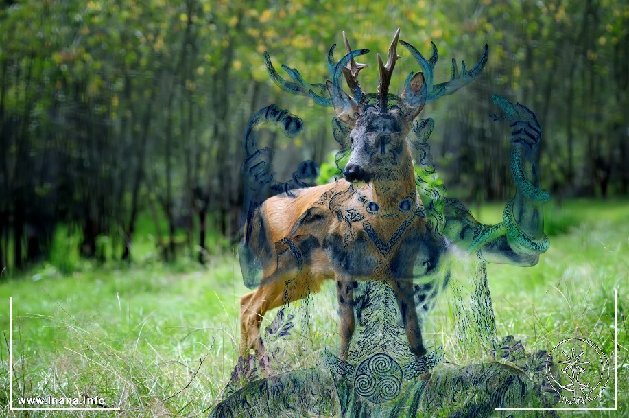 Überblendung Cernunnos und Rehbock