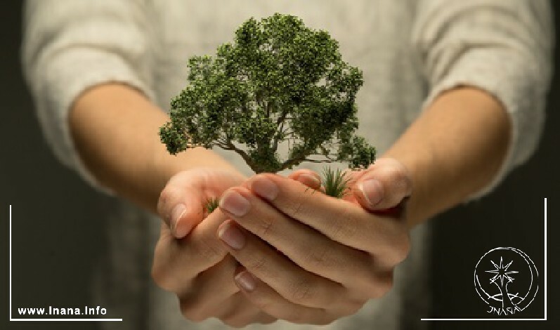 Hände halten einen ganzen Baum