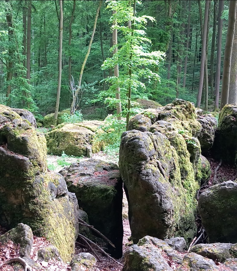 Steine im Druidenhain