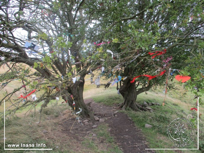 Mit Soffstreifen behängter Feenbaum