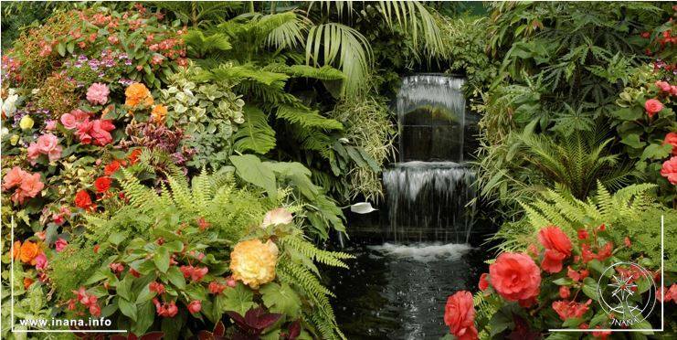 Garten mit kleinem Wasserfall