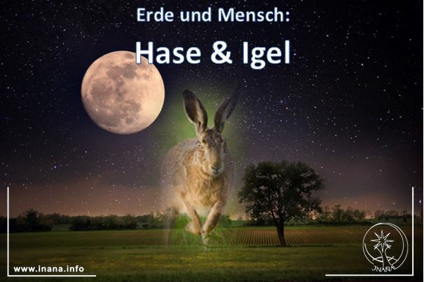 Mond Hase auf dem Feld