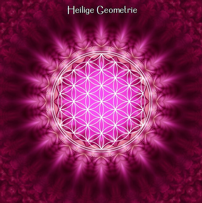 Blume des Lebens
