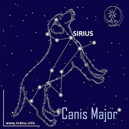 Sternbild Canis major