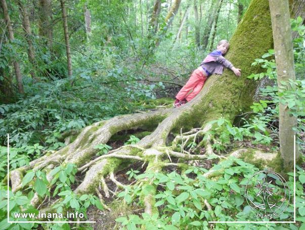 Kinder brauchen die Natur