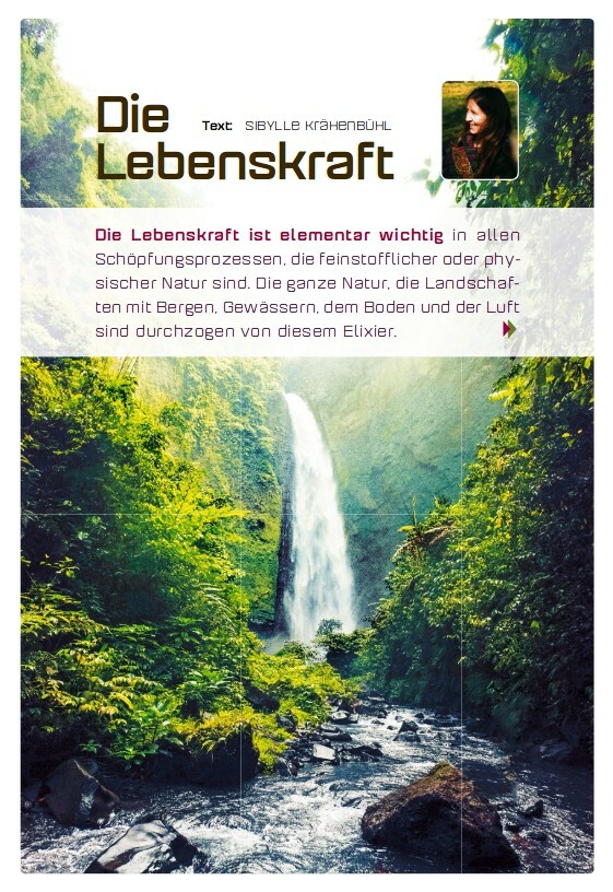 Text Artikel Lebenskraft