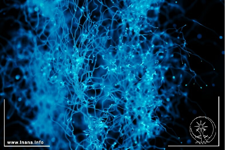 Blau leuchtendes Netzwerk aus Pilzfäden