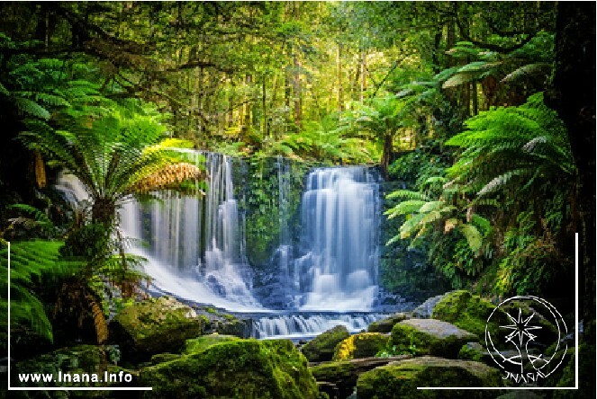 Wasserfall im Wald