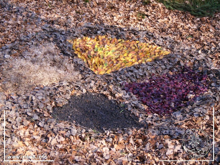 aus farbigen Blättern gelegte Landart-Installation