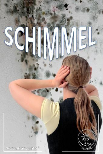 Schimmel an der Wand