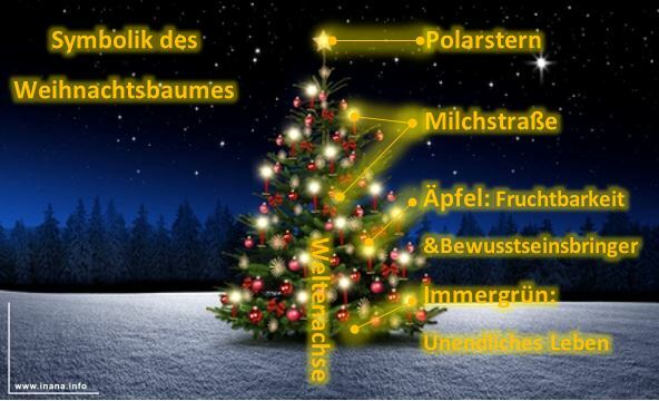 Weihnachtsbaum