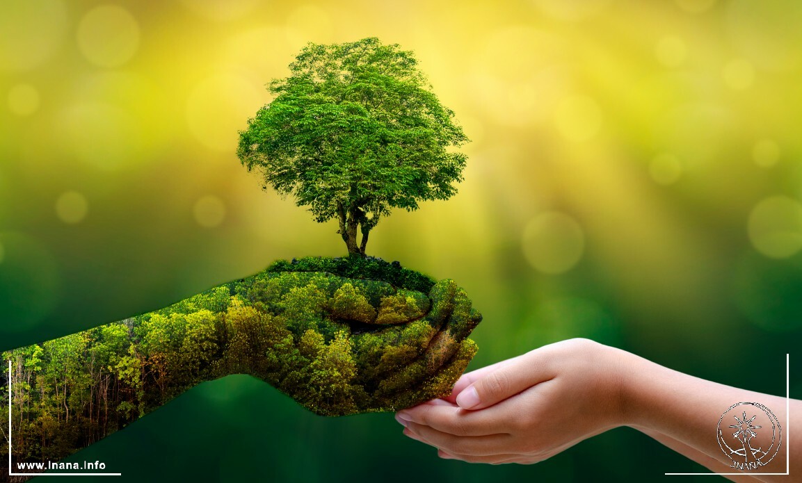 Grüne Hände der Erde reichen Menschenhänden einen Baum
