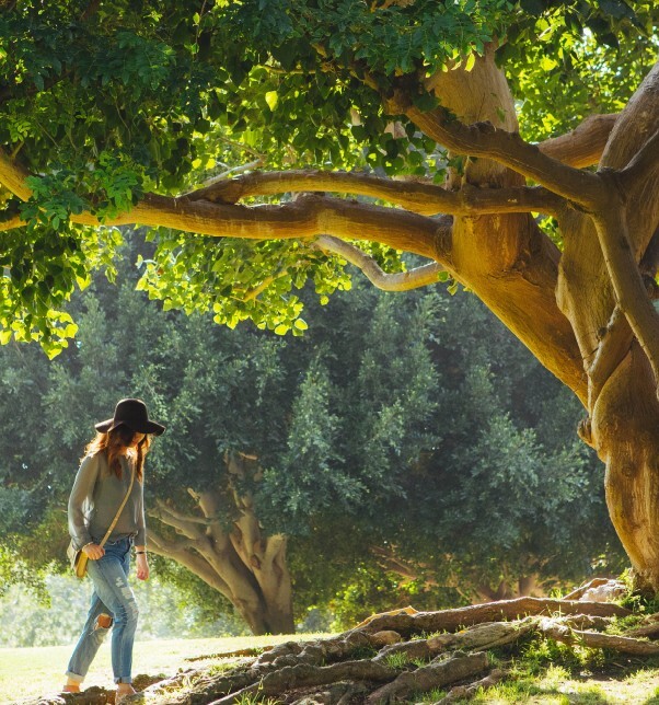 Frau unter einem Baum