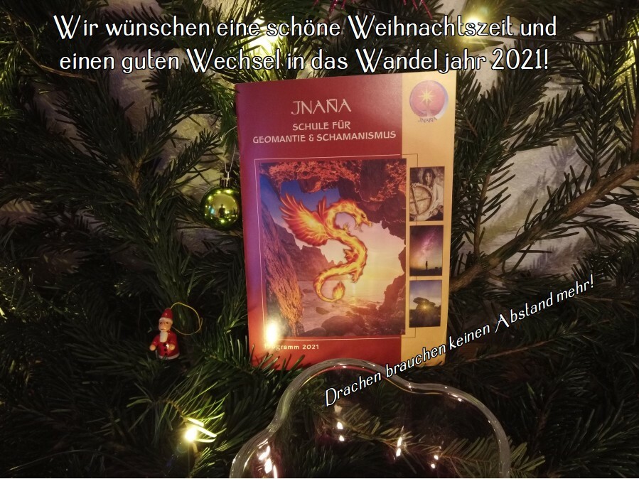 Inana Jahresprogramm 2021 in Weihnachtsgrün