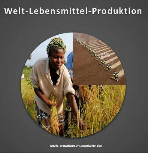 Tortengrafik Welt-Lebensmittel-Produktion