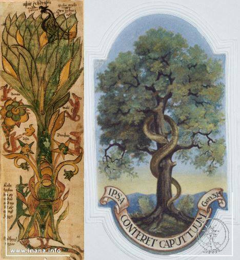 Links: Weltenbaum Yggdrasil. rechts Paradiesbaum Kirche Immenstadt