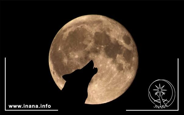 Heulender Wolf vor Vollmond